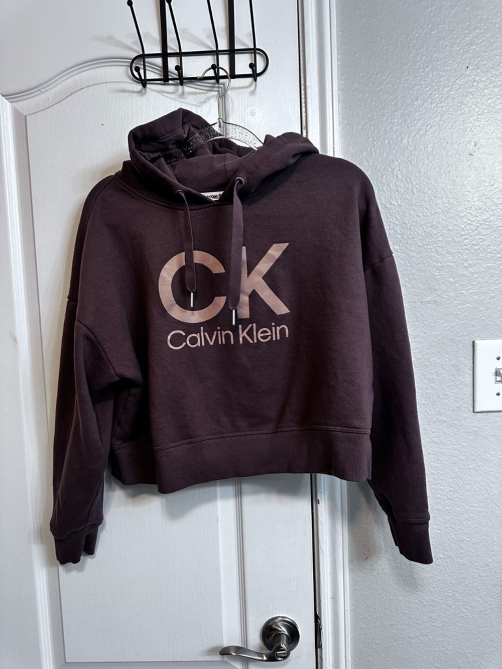 Calvin Klein Cropped CK Logo Hoodie in Deep Plum